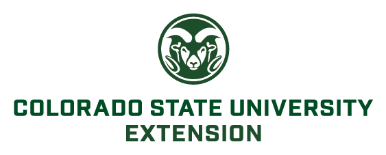 Colorado State University